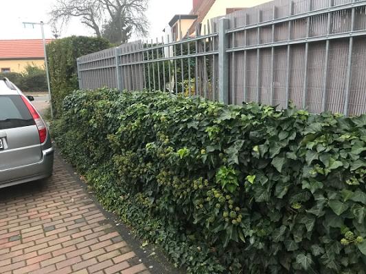 Haus und Garten Service