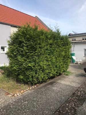 682f314867ae3