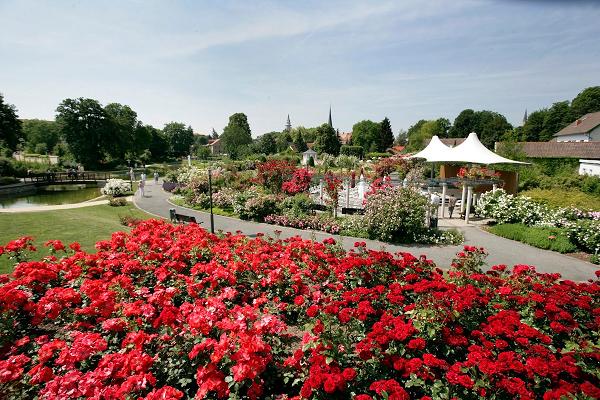 Rosengarten