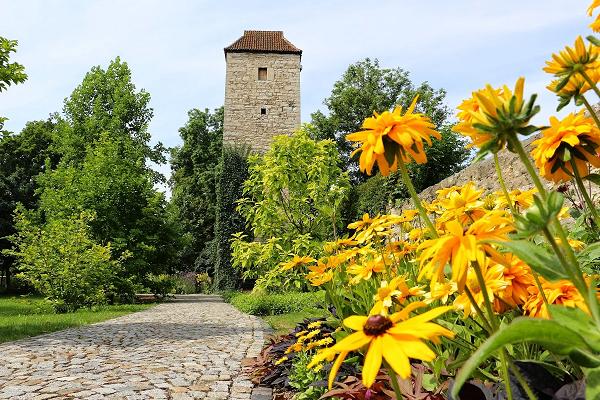 Arboretum Bad Langensalza