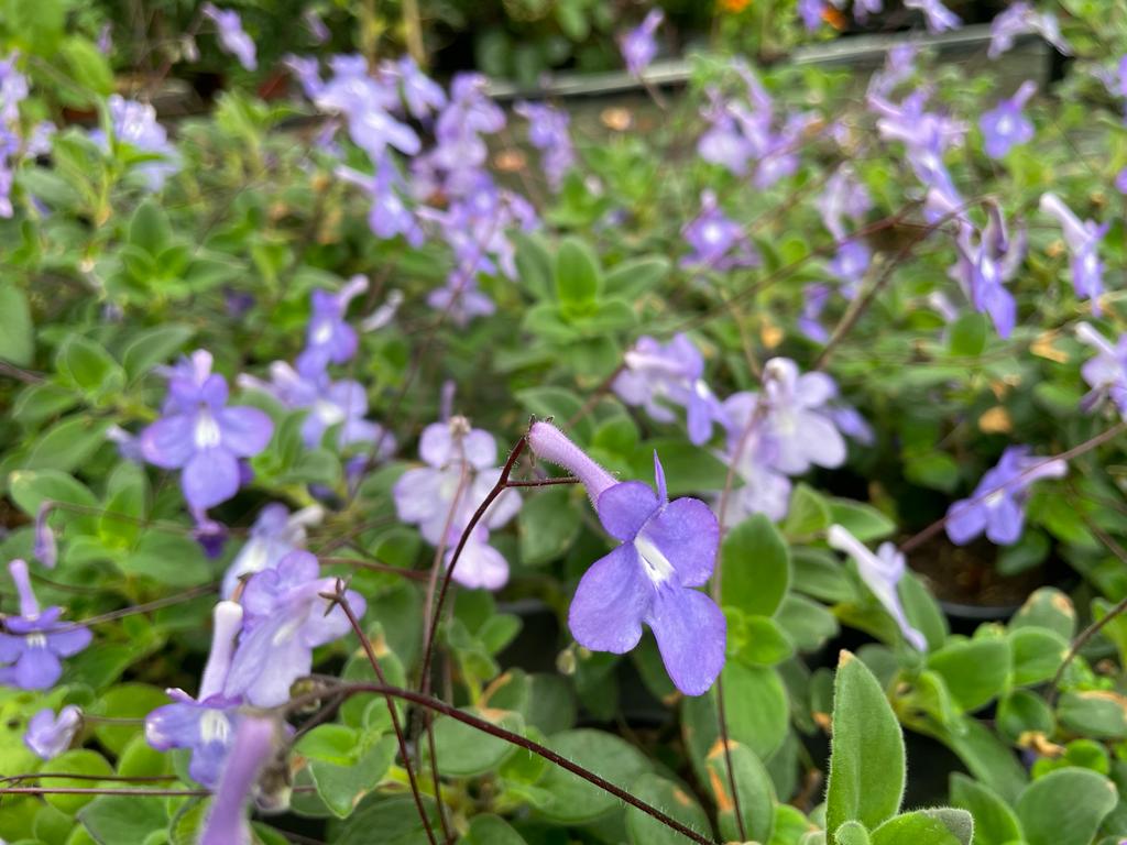 682f3212d0a0e