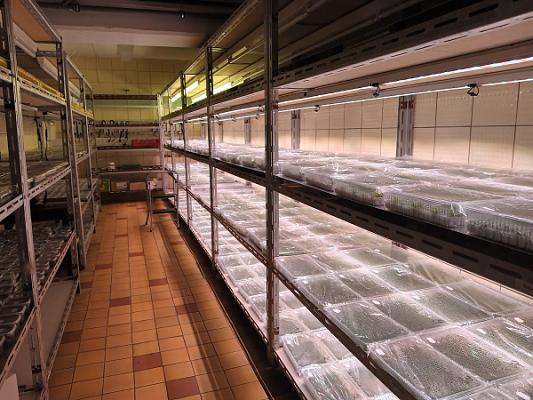 Baumschulen Oberdorla