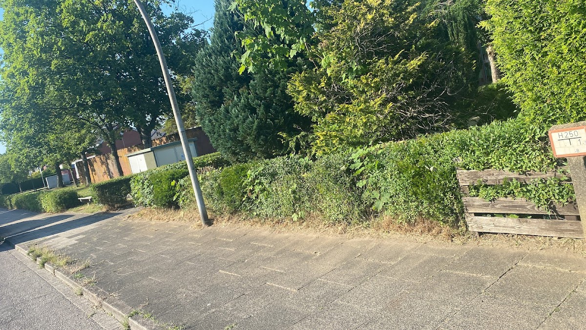 682f566499222