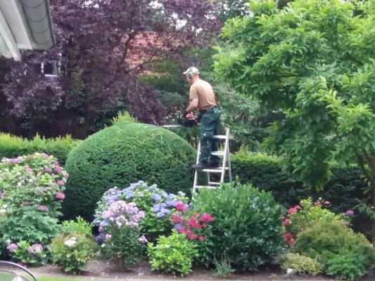 Erins Gartenplege