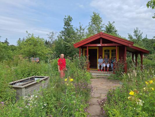 Schmetterlingsgarten