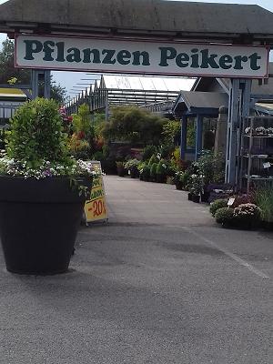 Pflanzen Peikert - Gartencenter - Gartengestaltung - Floristik
