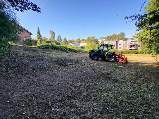 Gartenimpressionen Stümmel