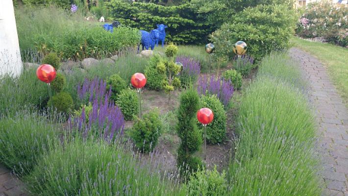 A.M.Dienstleistungen