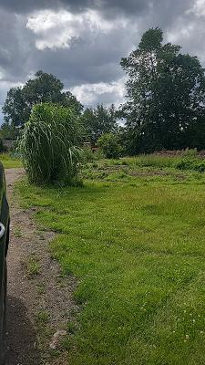 Kobane Garten & Landschaftsbau