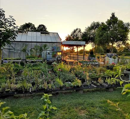 Angelner Gärtnerei GbR