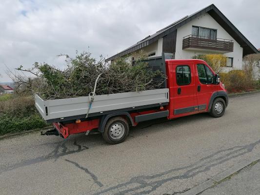 682defd424209