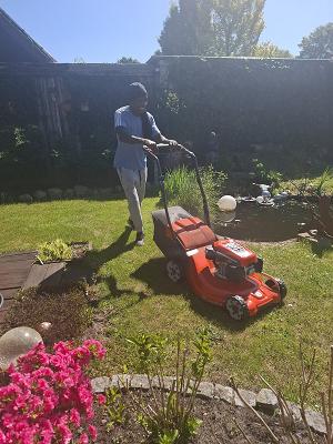 Daniels Garten service