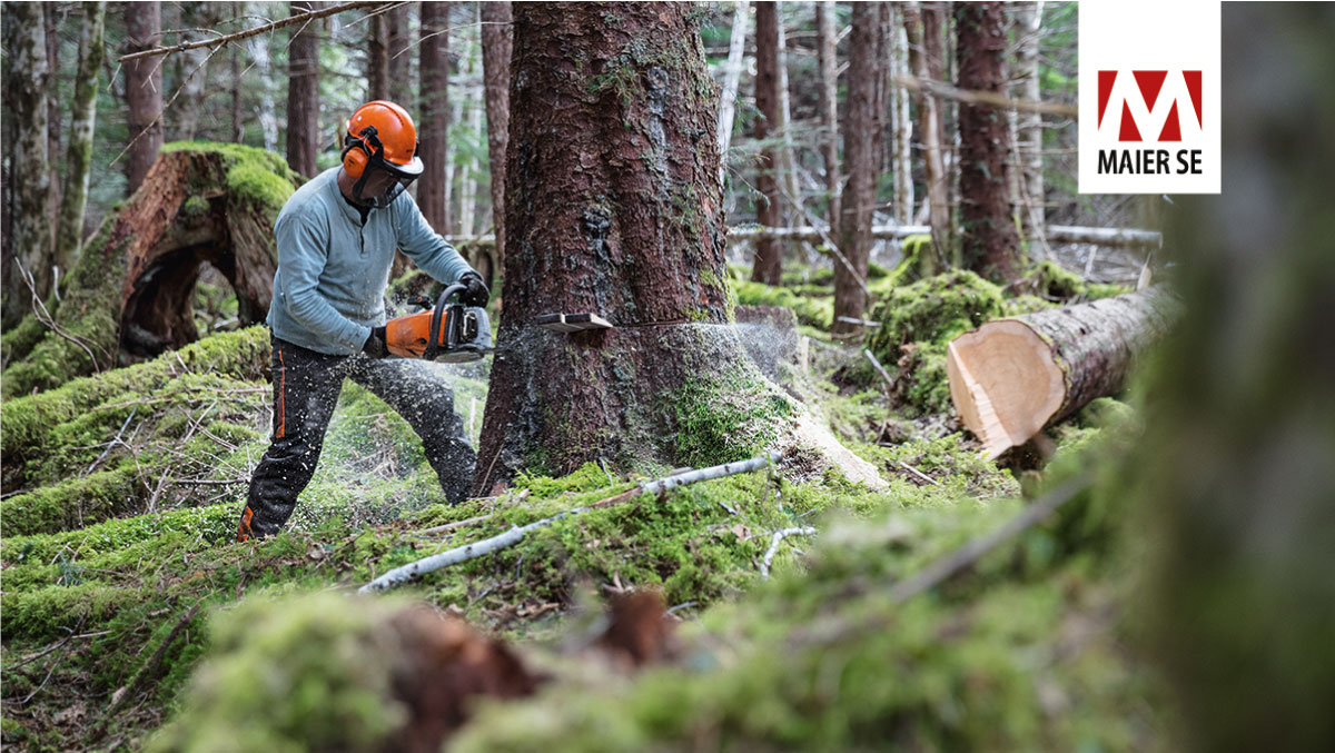 682defe12ecd6