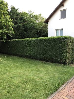 Garten & Grundstückspflege Gerlach