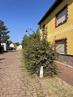 Gartenhelfer Petersberg