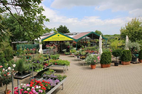 Baumschulen Schauer u. Söhne GbR