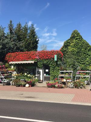 Uwe Melchior Gärtnerei