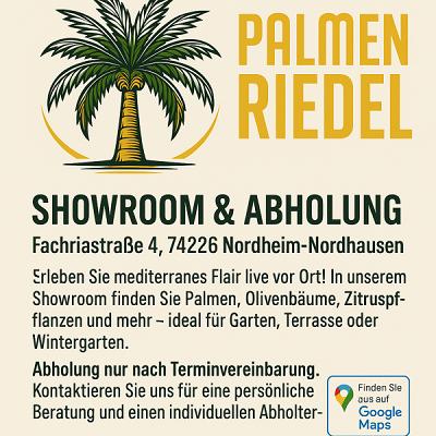 Palmen-Riedel