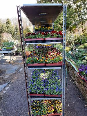 Voigts Garten Blumerode