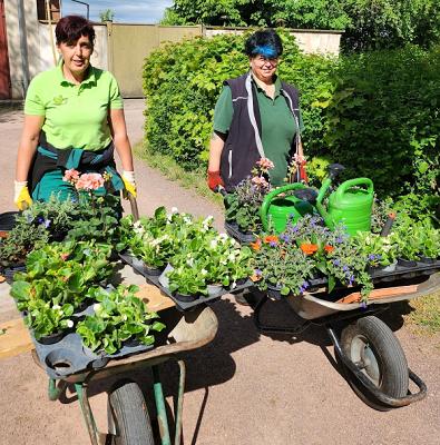 Landschaftspflege & Gartengestaltung Dipl.-Ing. C. Loitsch