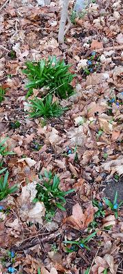 TK Bau & Gartenservice