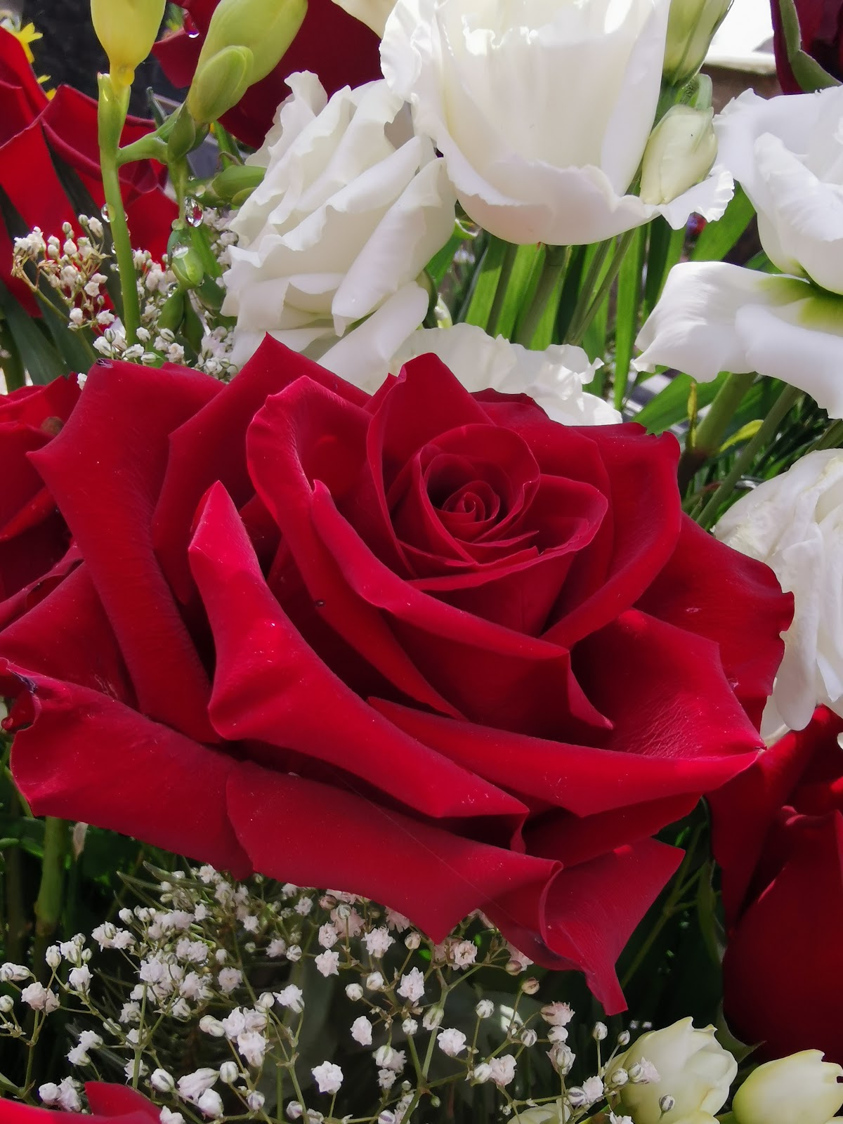 682f5a1841f5d