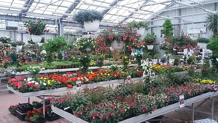 Bestehorns Markt Gartencenter GmbH & Co. KG