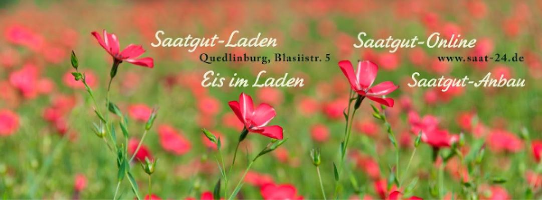 Quedlinburger Stiftsgarten GmbH