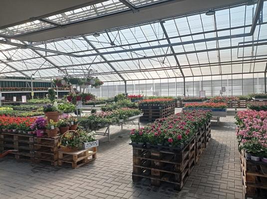floraque Stauden & Zierpflanzen GmbH