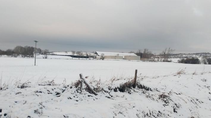 Agrargesellschaft Riestedt mbH & Co. KG