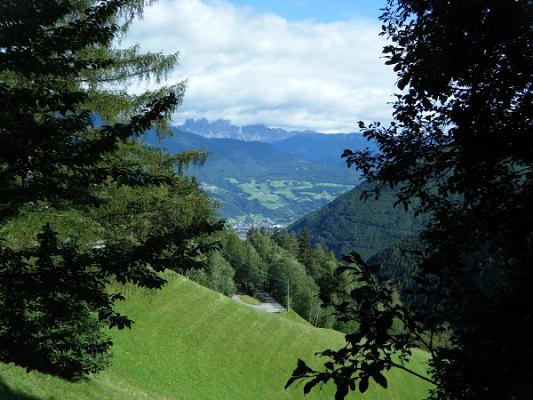 Wald Garten Maschinen