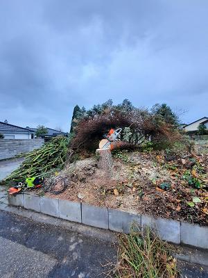 Holz- & Baumservice Stiegele GbR