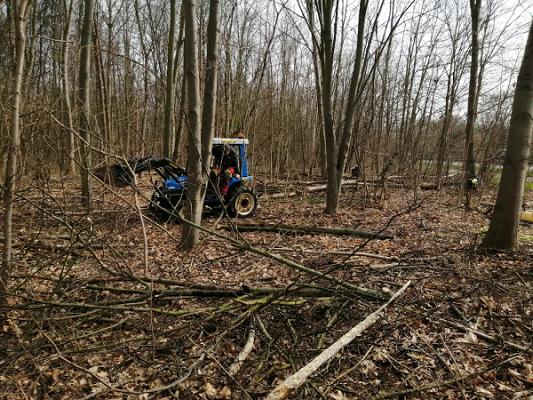 B-H-T Baum- & Gartenservice