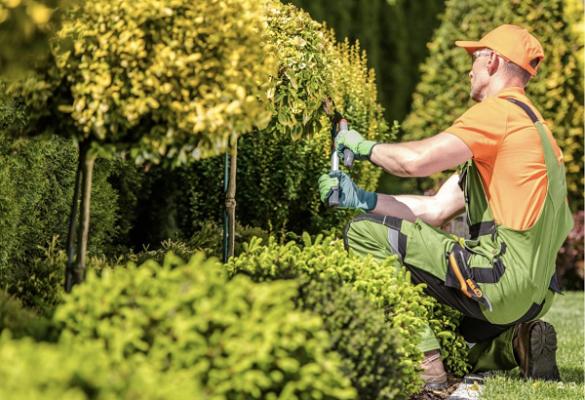 HAUS & GARTEN SERVICE BURGENLANDKREIS