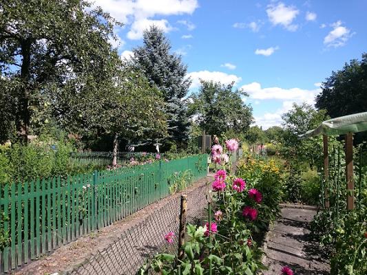 Gartenanlage Am Busch