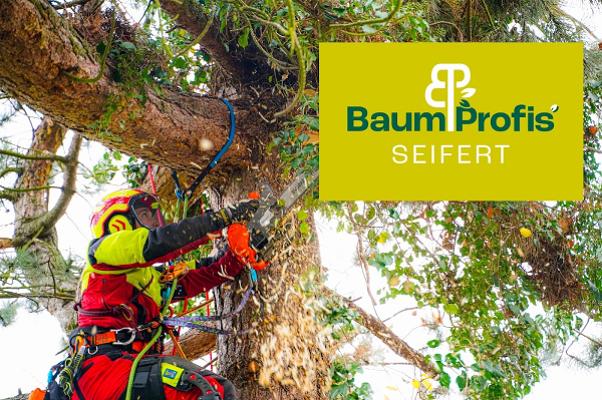 BaumProfis Seifert