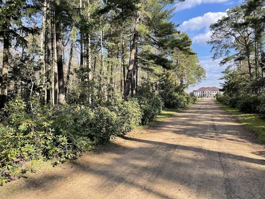 682f5b94a3297