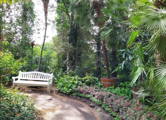 Palmengarten