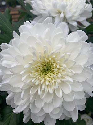682f5be7d792b