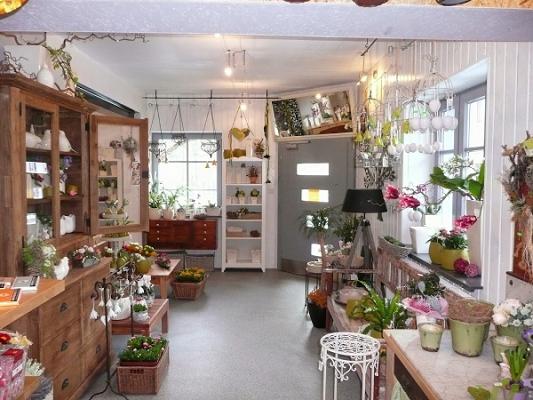 Allerlei Schönes der Natur