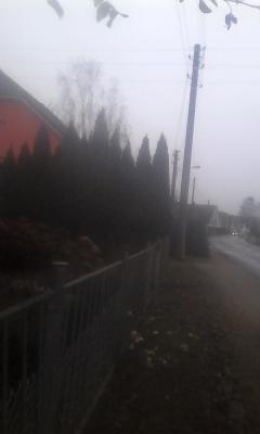 Sigrid Schmidt Gartenbau