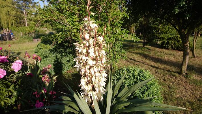 Gartenanlage Kienberge