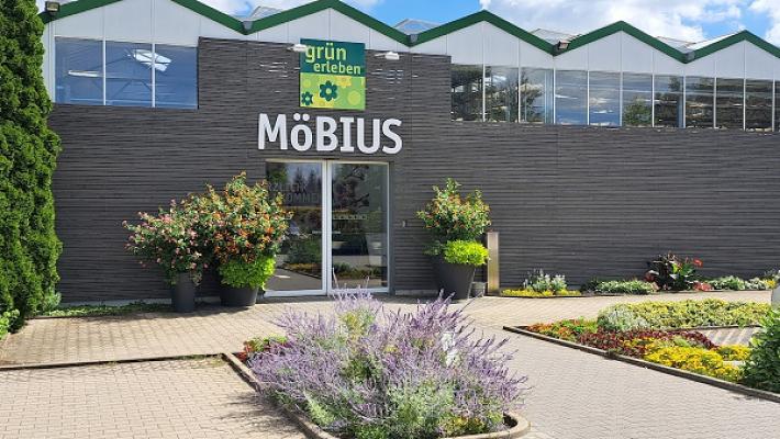 Blumen Möbius GmbH