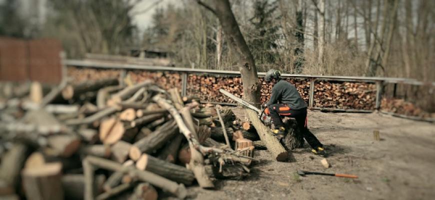 Baumfällung & Pflasterarbeiten Böhme