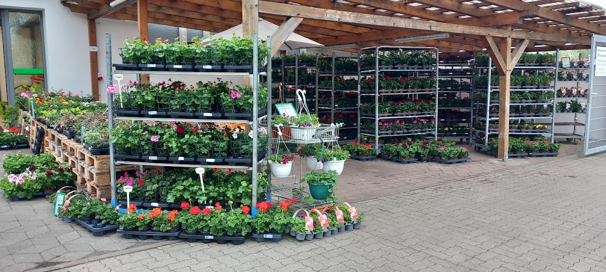 682f5c581df6a