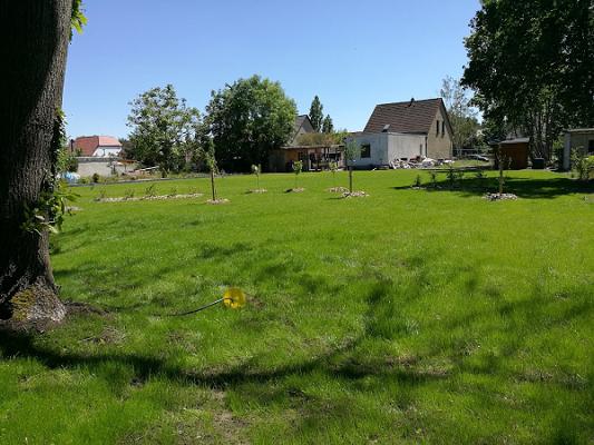 Baumschule Schwärzel