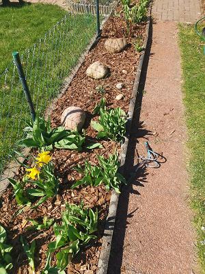 Behne Garten & Landschaftsbau