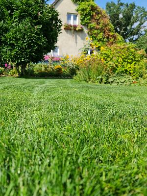 Schü`s Heim & Garten