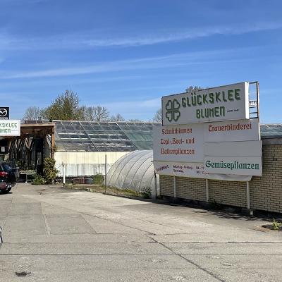 Glücksklee Blumen Gartenbau Verkaufsgärtnerei