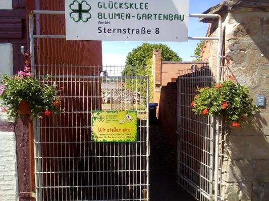 Glücksklee Blumenhandel GmbH